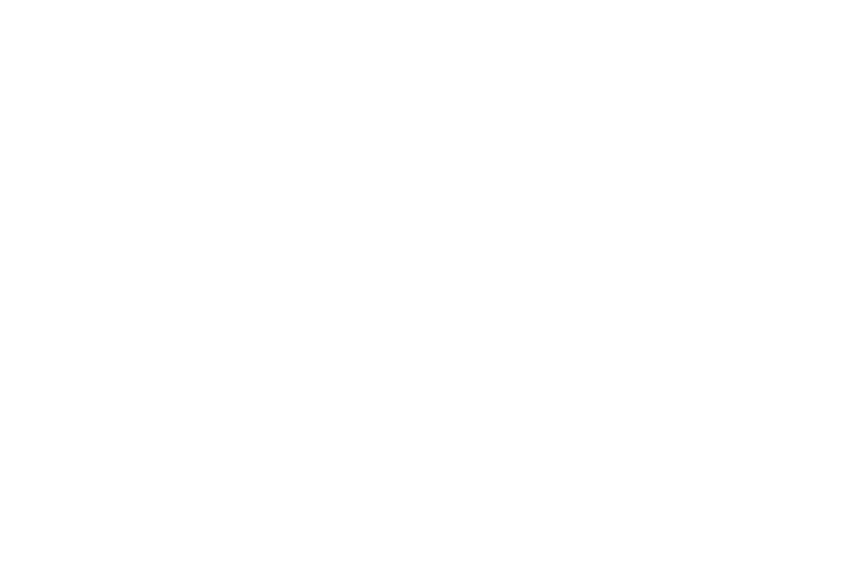 Official Selection — CrashLanded